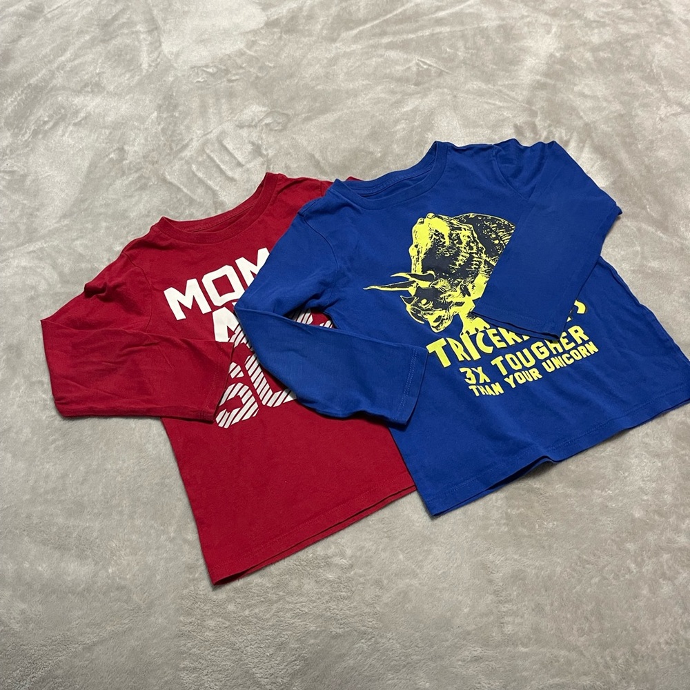Bundle of two The children’s place kids long sleeve tees